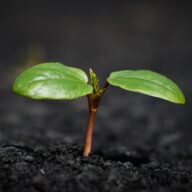 Unlocking Wealth: Five Must-Know Financial Trends Shaping Your 2024 Strategy