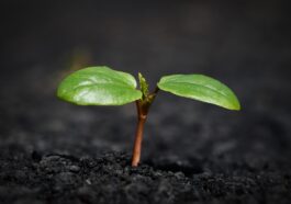 Unlocking Wealth: Five Must-Know Financial Trends Shaping Your 2024 Strategy
