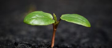 Unlocking Wealth: Five Must-Know Financial Trends Shaping Your 2024 Strategy