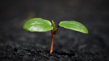 Unlocking Wealth: Five Must-Know Financial Trends Shaping Your 2024 Strategy