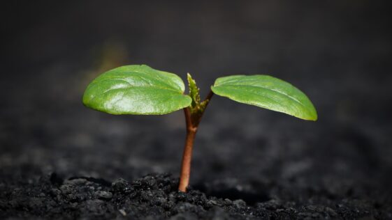 Unlocking Wealth: Five Must-Know Financial Trends Shaping Your 2024 Strategy