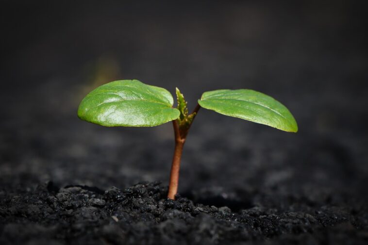 Unlocking Wealth: Five Must-Know Financial Trends Shaping Your 2024 Strategy