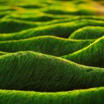 Rising Rates: What Homebuyers Must Know About Today’s Mortgage Market 24 Rising Rates: What Homebuyers Must Know About Today’s Mortgage Market