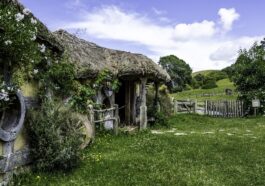 Navigating the Stablecoin Surge: How These Digital Assets Are Shaping US Finance